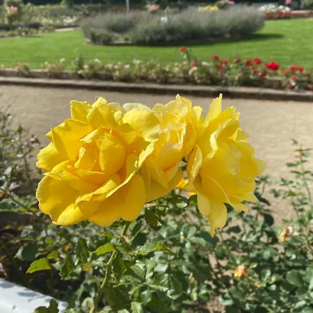 Relax Im Wald شقة باد هازبرغ