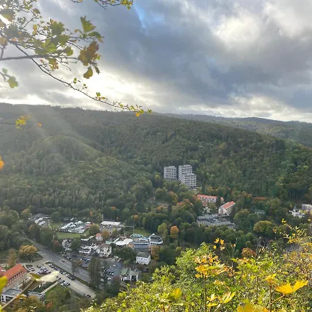 Relax Im Wald * Bad Harzburg