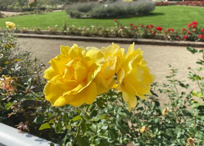 Relax Im Wald Апартаменты Бад-Гарцбург